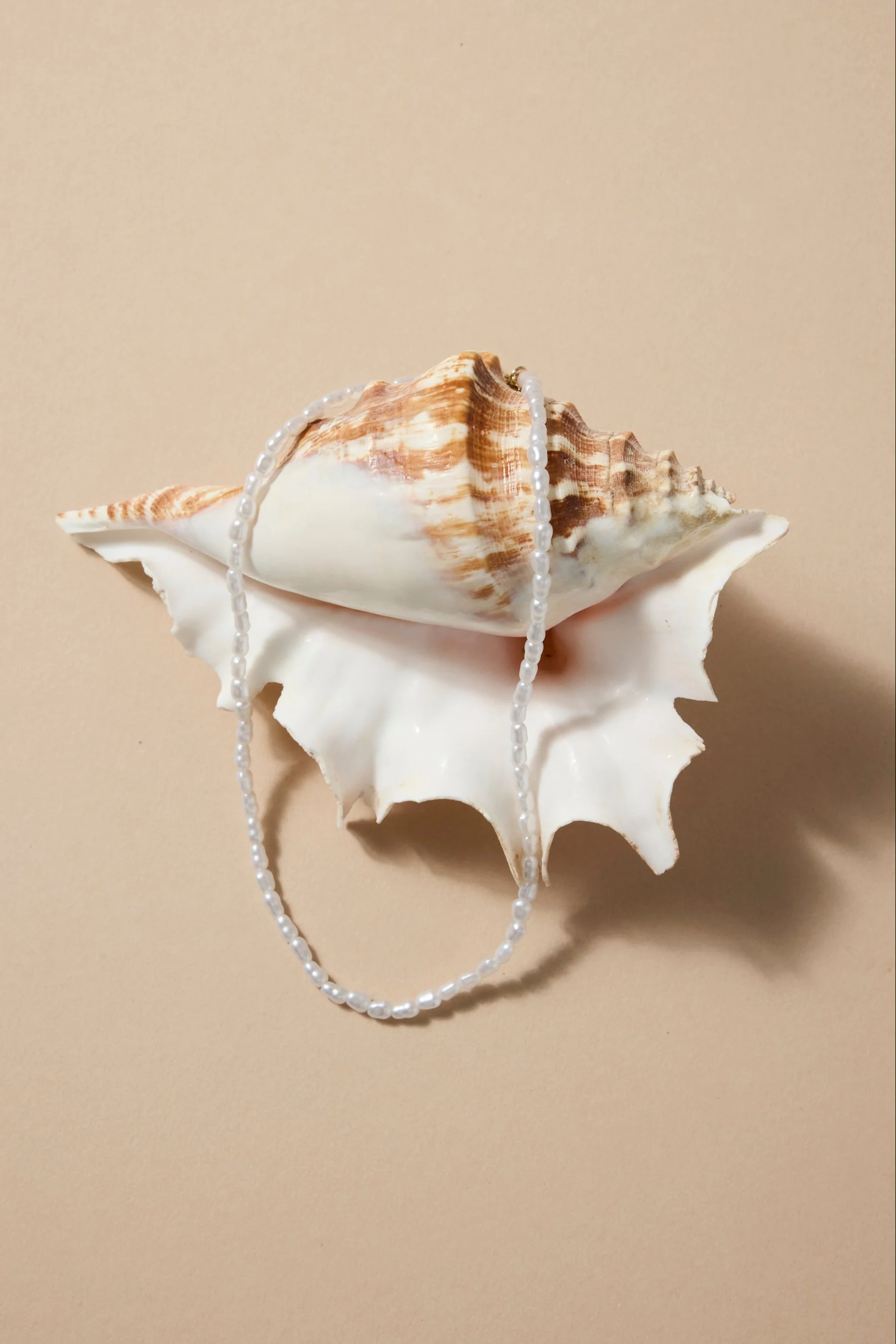 Classic Pearl Beaded Necklace - Image 2