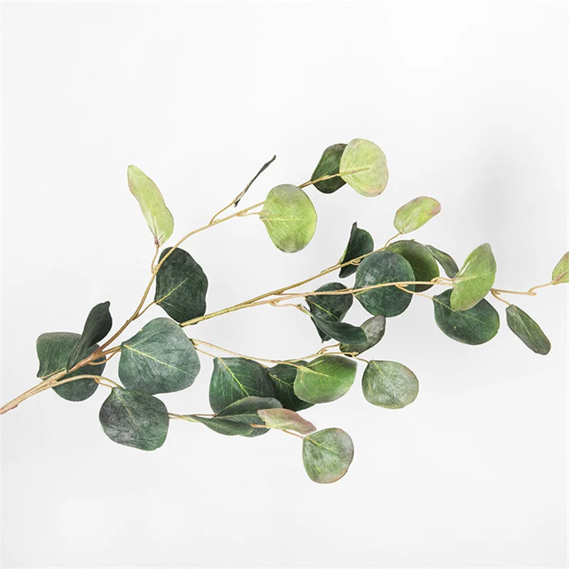 France Eucalyptus 90cm