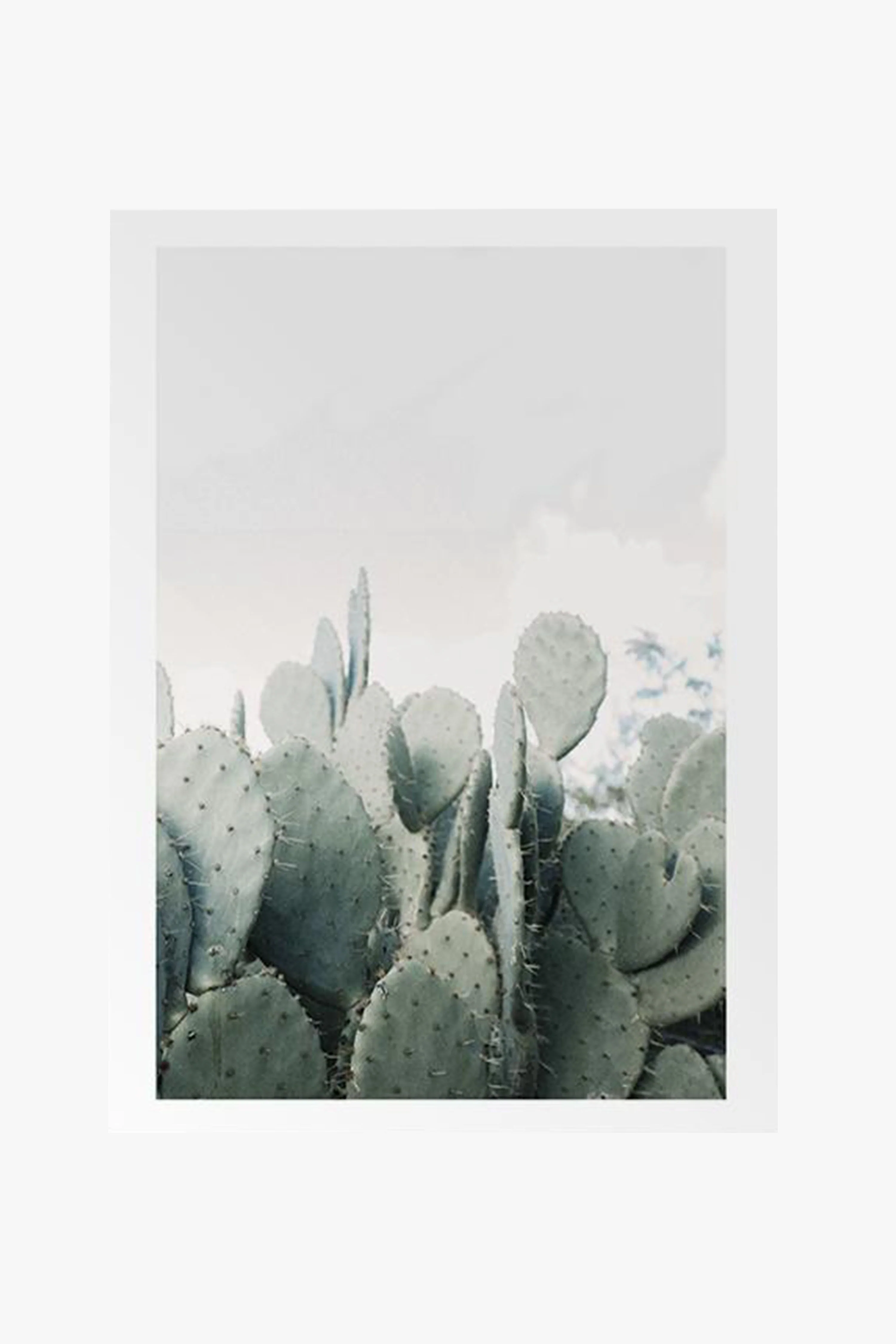 In The Desert Cacti White Framed A2 Print