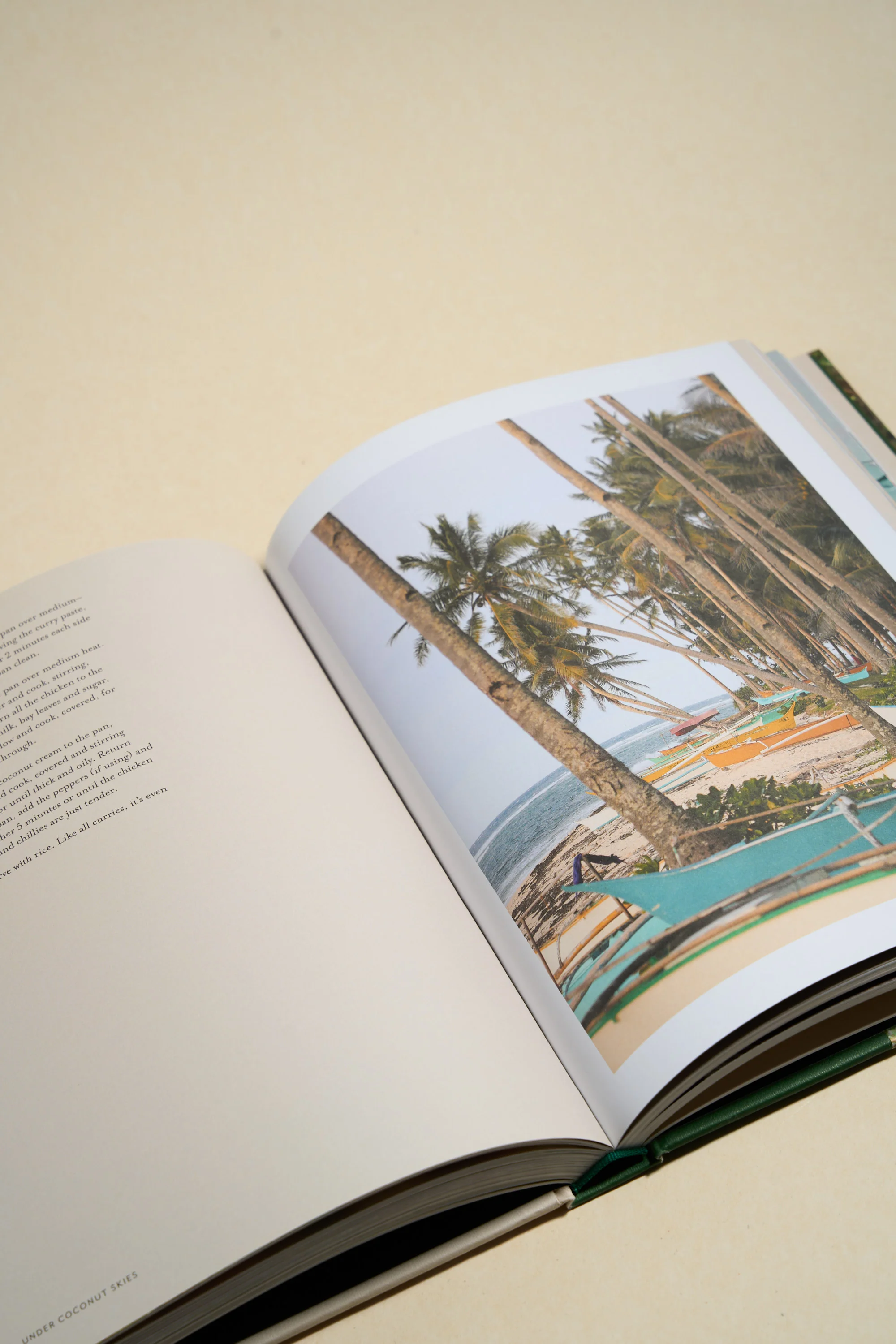 Under Coconut Skies - Image 3