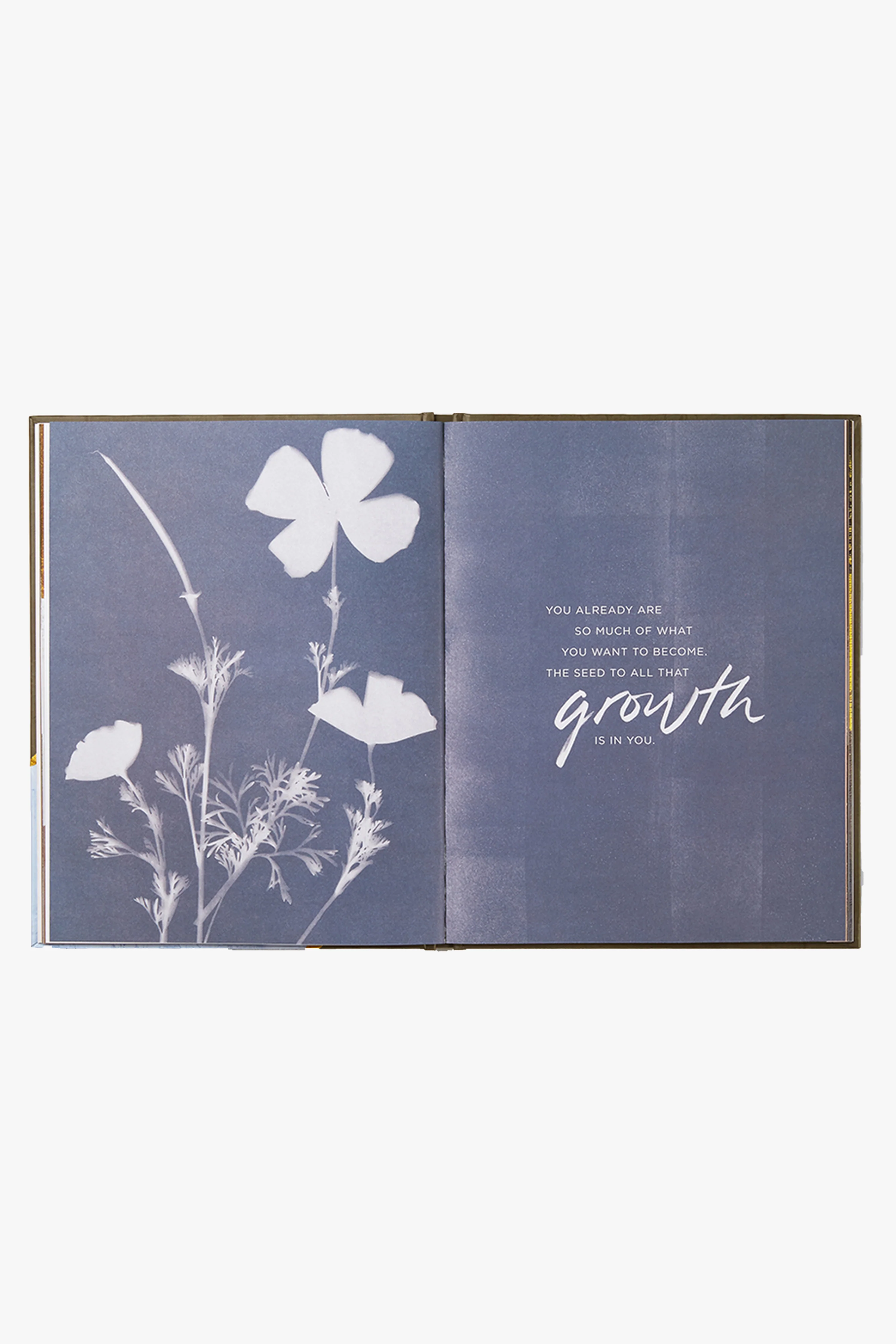 You Already Are Inspiration Book - Image 3
